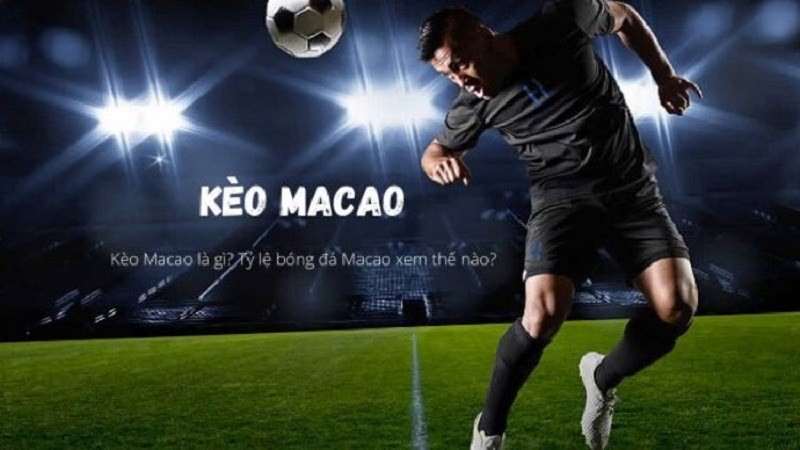 Tất tần tật th&ocirc;ng tin về k&egrave;o nh&agrave; c&aacute;i Ma Cao chuẩn x&aacute;c nhất